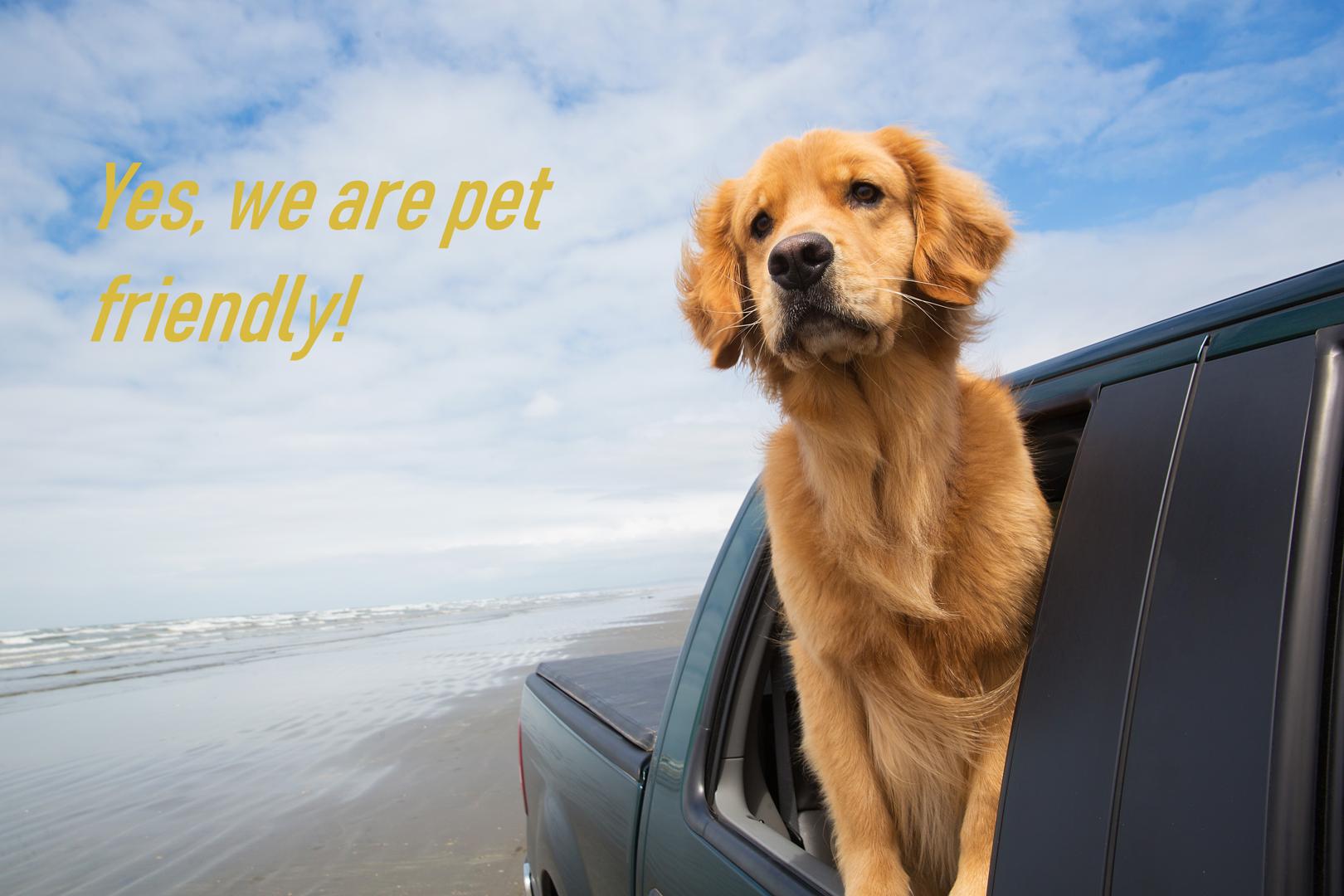 We're pet-friendly!