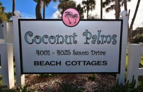 Coconut Palms