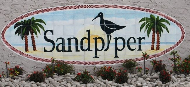 Sandpiper